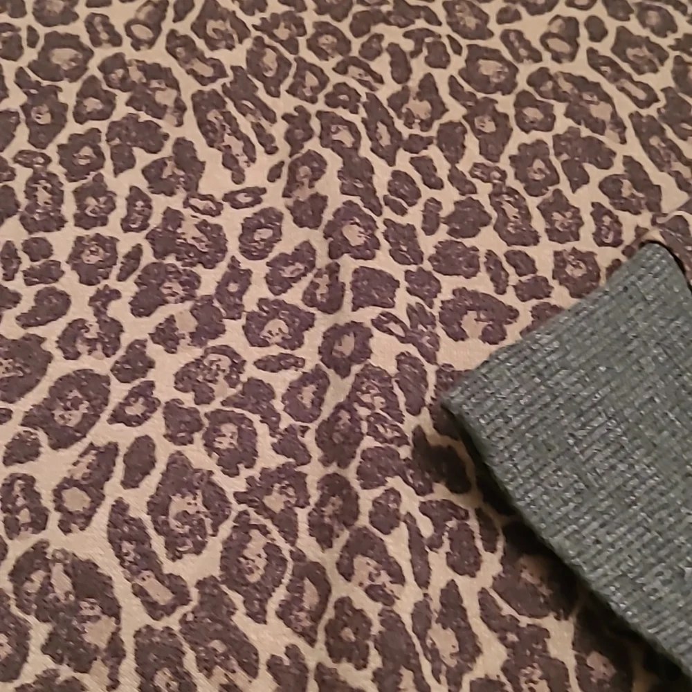 Splendid Women's XS Leopard Print Sweater